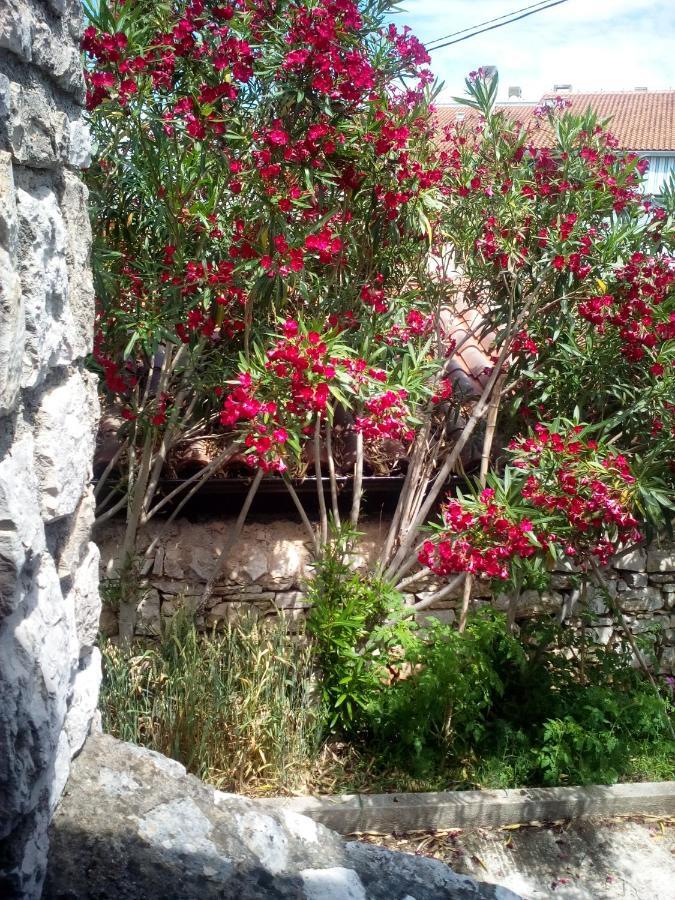 Ferienwohnung Konoba Yan Pula Exterior foto